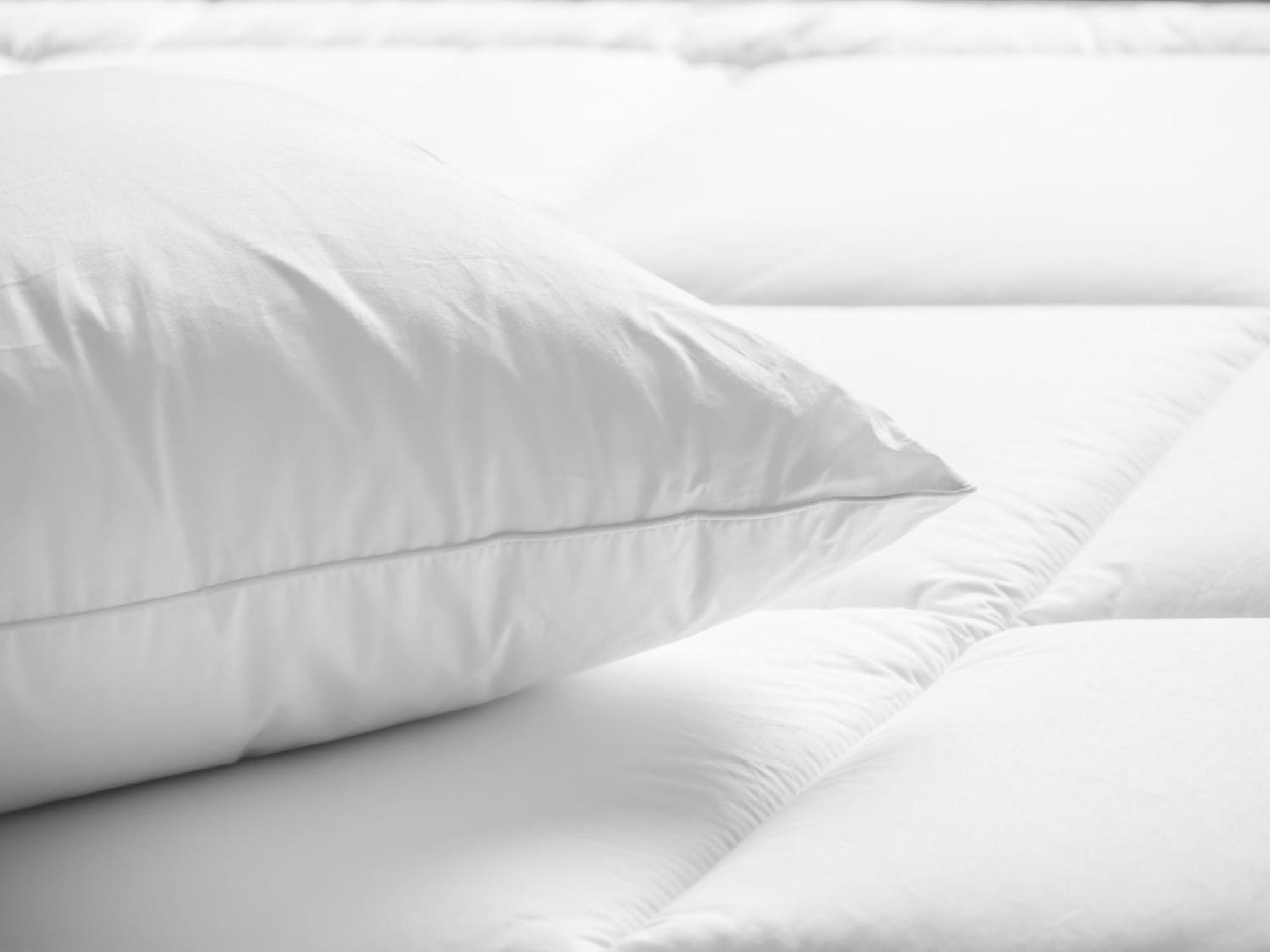 Embassy Suites San Marcos Hotel Conference Center מראה חיצוני תמונה